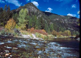 Expert Advice on Land Conservation